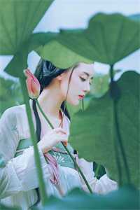 军婚甜蜜蜜，兵王他不撒手了全章节