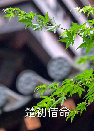 影帝又在求官宣了