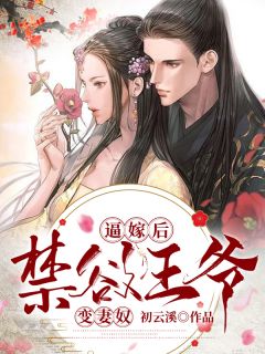 林霸天林寻小说完整文集阅读