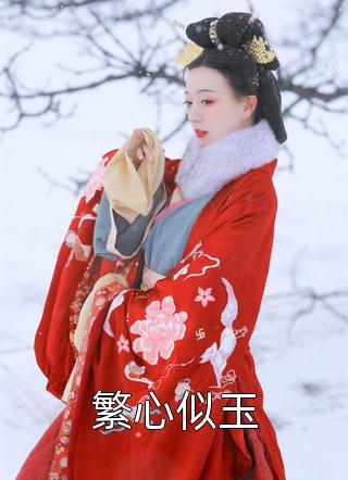 畅销巨作安柔苏江主角小说