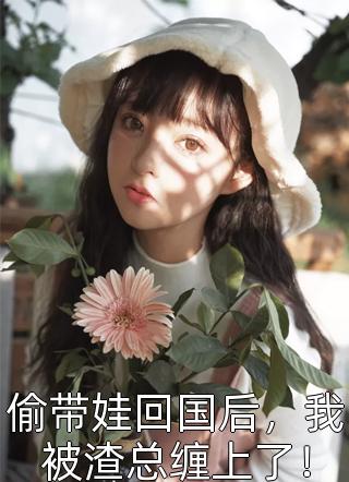 精选篇章苏江安柔的小说