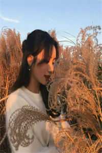 芙蓉并蒂，我陪你爱恨同往必读文