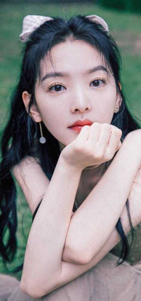 谢景城姜羡梨大结局长篇小说阅读