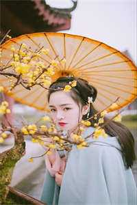 夺人妻！爷，你看上的是顾总老婆畅读佳作推荐