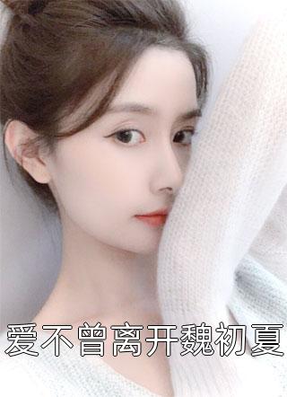 林寻苏清诗的小说免费阅读全本阅读