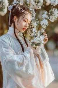 全集小说推荐穿越小白脸，女帝只想要我